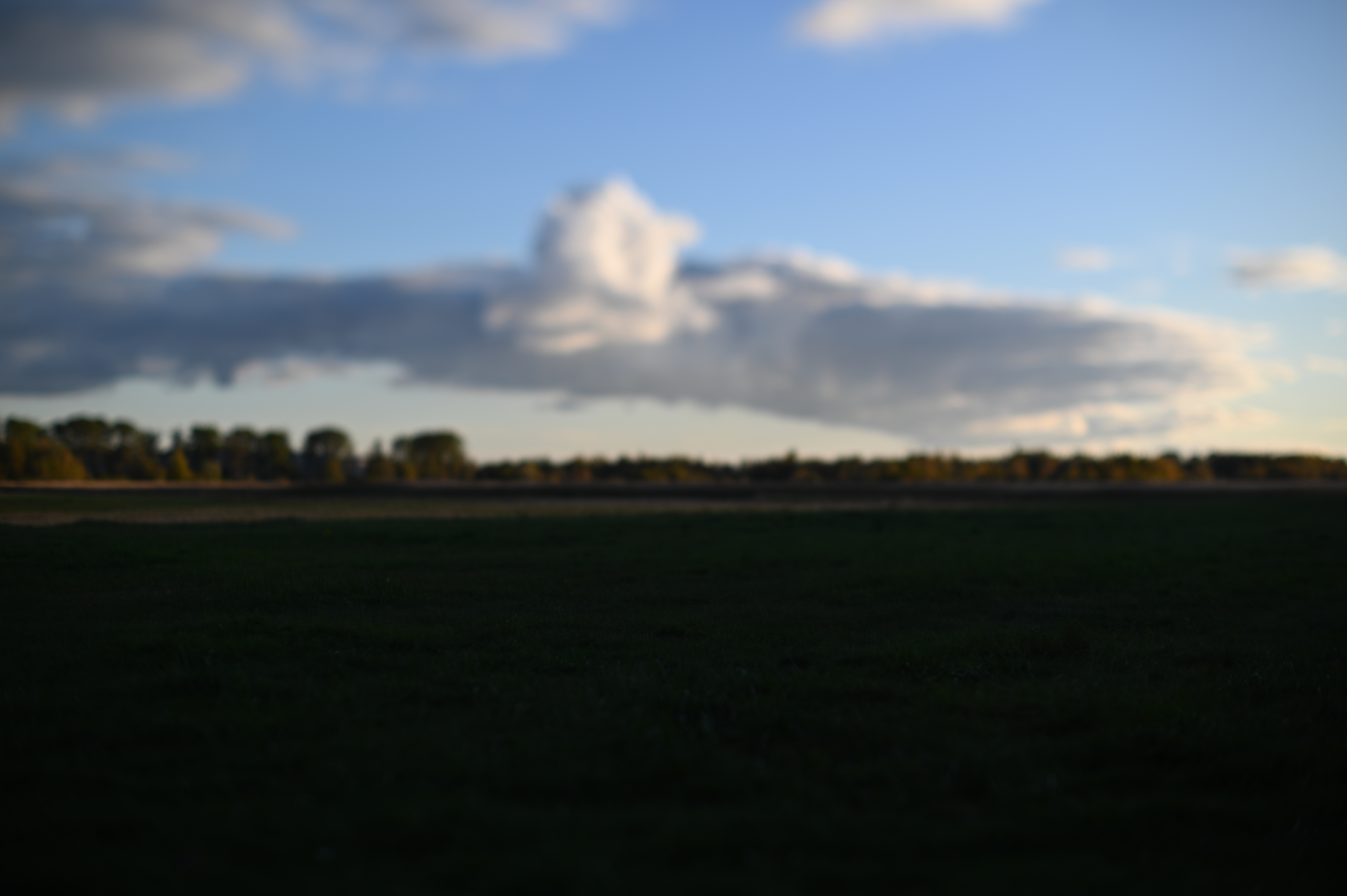 2025/10/18 - walk/DSC_0197.JPG